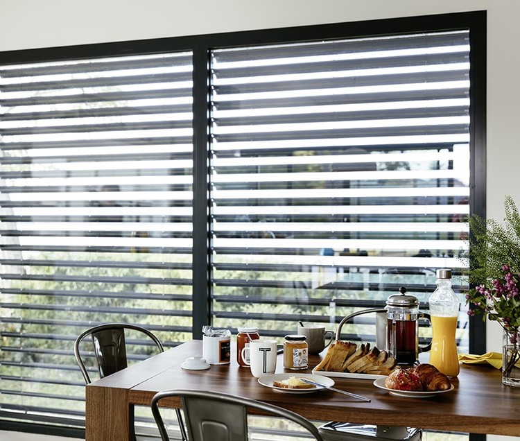 Blinds Singapore External Motorised Solution SOMFY