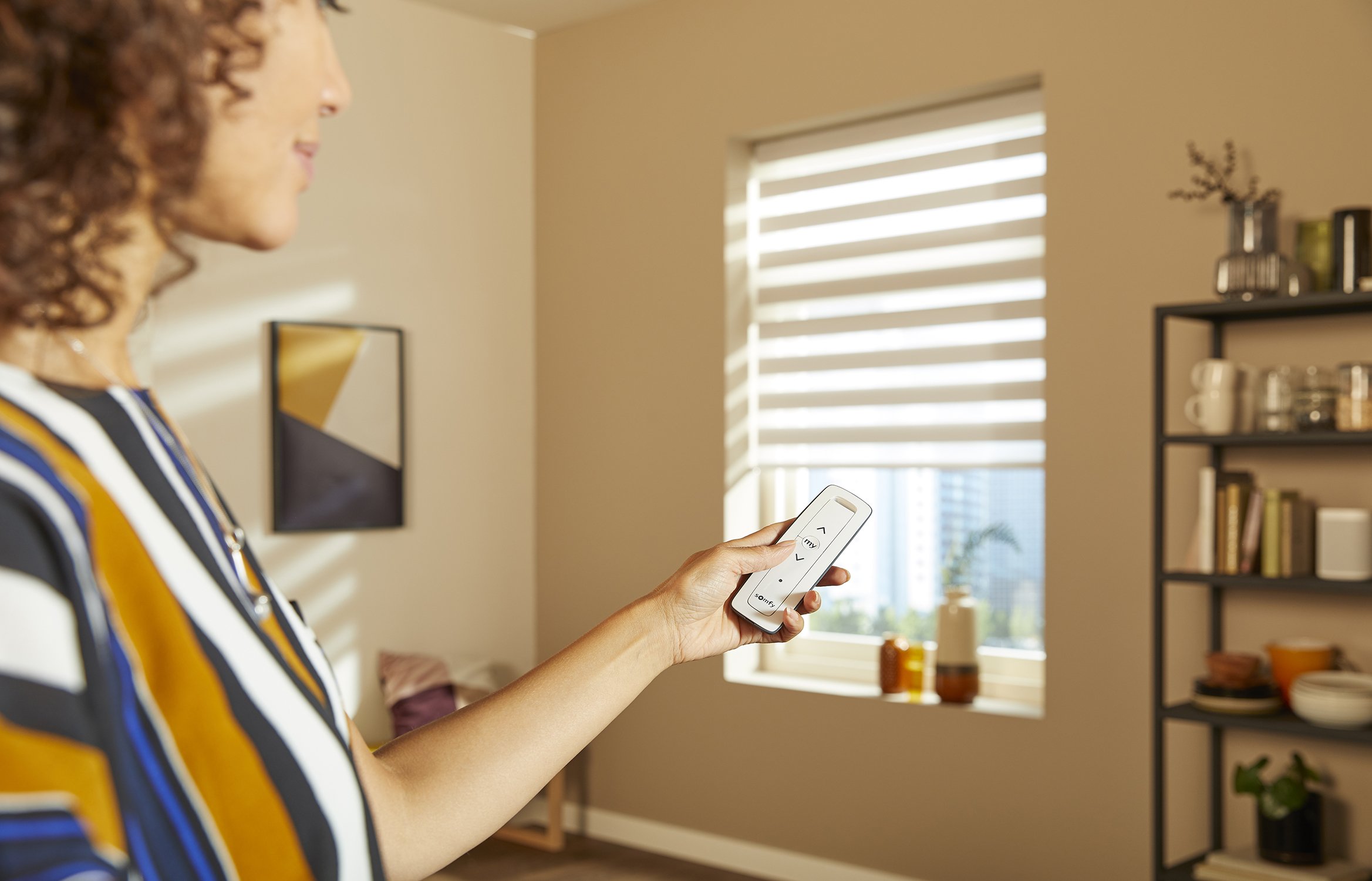 Manual vs Motorised Blinds